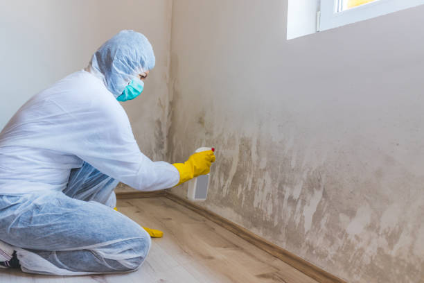Licensed Attic Mold Remediation service in Marriottsville, MD - 24 Hour Mold Removal