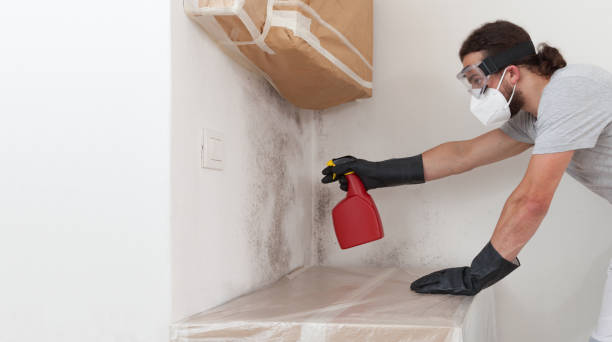 Professional Attic Mold Remediation technician working in Marriottsville, MD