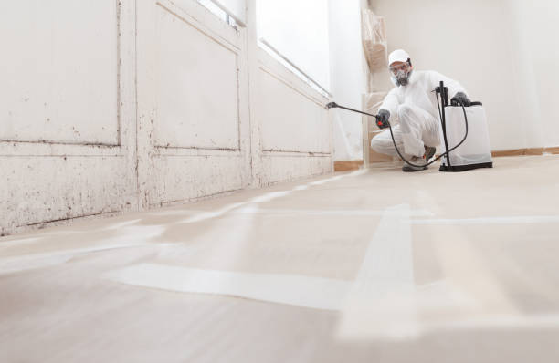 24/7 Emergency Attic Mold Remediation experts in Marriottsville, MD