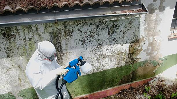 Top rated local Attic Mold Remediation specialists in Marriottsville, MD